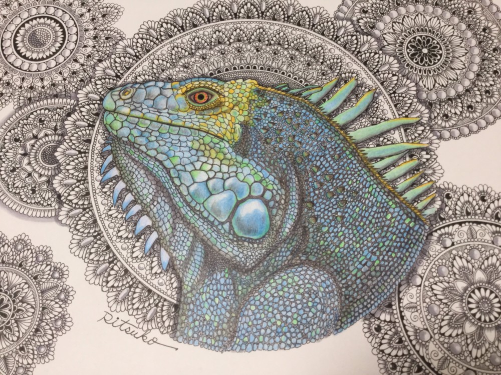 ボールペン 画　ペン画　絵画　【サイ生】　1点もの