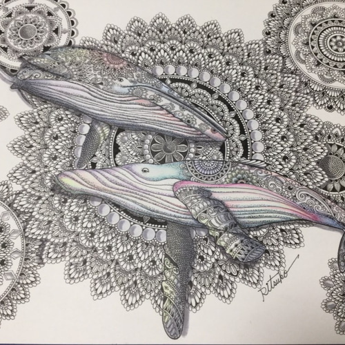 原画 肉筆 一点もの ボールペンアート 鯨 くじら ザトウクジラ