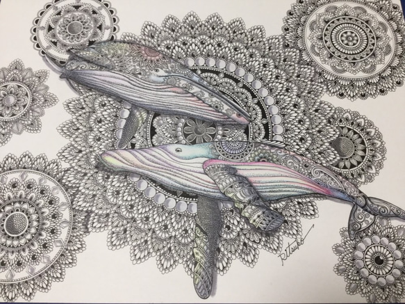 定率割引 西日本 原画 肉筆 一点もの ボールペンアート 鯨 くじら ザトウクジラ 絵画