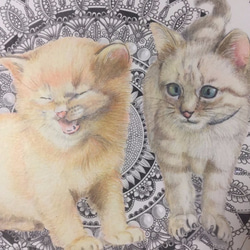 原画  肉筆  百貨店出展   絵画  絵  アート　子猫　子ネコ　小猫　猫の絵　子猫の絵 2枚目の画像