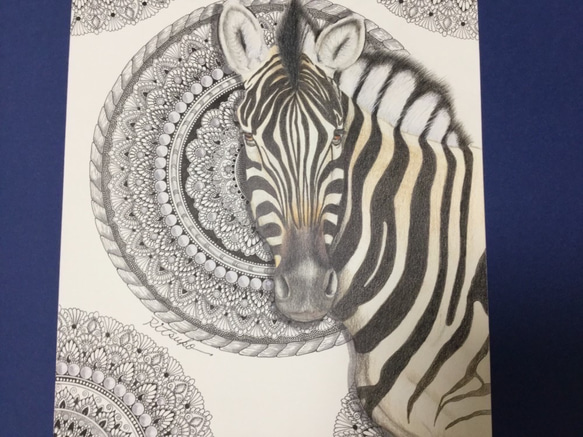 原画 肉筆 一点もの ボールペンアート しまうま ゼブラ 縞馬
