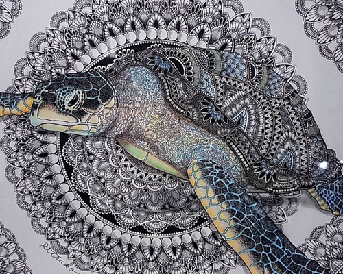 原画】オリジナルボールペン画作品 ミノカサゴ（事務局雑感）