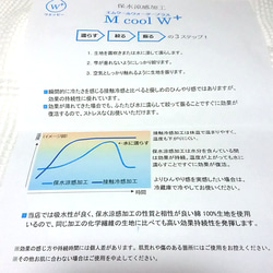 受注【定形郵便送料無料】 夏 薄手 大人女性サイズ 大臣風 立体マスク 花柄 リボン ミントグリーン系 6枚目の画像