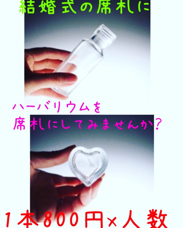 花嫁様 1枚目の画像