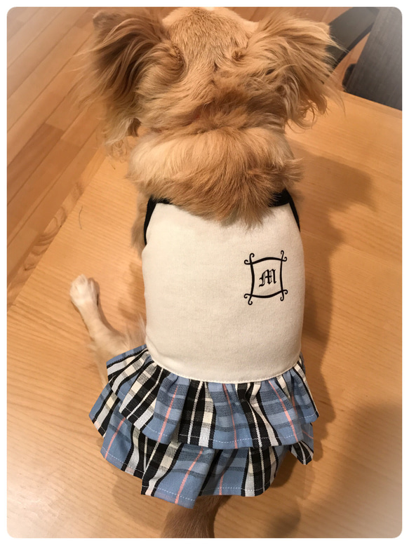 犬服 イニシャル入りキャミスカート 3枚目の画像