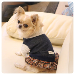 犬服　重ね着風　プリーツスカート 3枚目の画像
