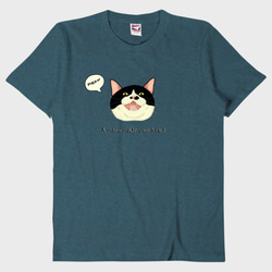 Tシャツ A meow melts your heart 猫　デニム 1枚目の画像