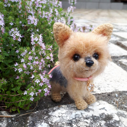 あみぐるみのヨークシャーテリア あみぐるみ TIKUTIKUmaasa-c 通販