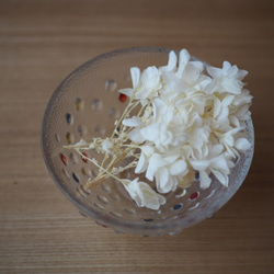 カシワバアジサイ・オフホワイト《ハーバリウム、アレンジメント等の花材》小分け 3g　シェア花材 1枚目の画像