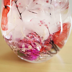 カシワバアジサイ・オフホワイト《ハーバリウム、アレンジメント等の花材》小分け 3g　シェア花材 4枚目の画像