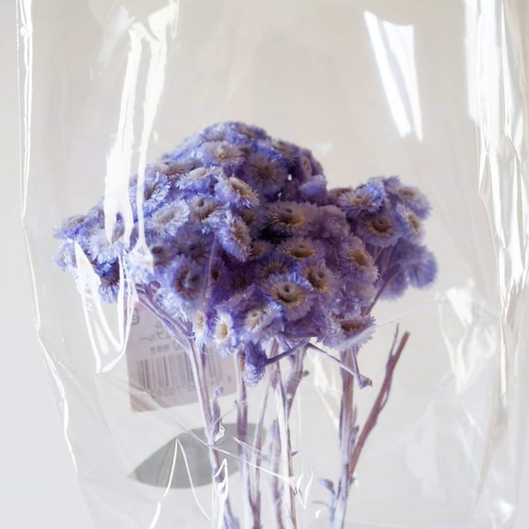 花材小分け・ソフトイモーテル(プリザーブドフラワー)・ヘッド・パープリッシュブルー　約３０輪　シェア花材 5枚目の画像