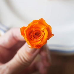 シェア花材　バラ・プリザーブドフラワー　オレンジカラー ３輪　小分け 2枚目の画像