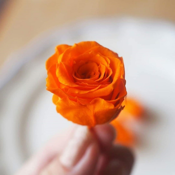 シェア花材　バラ・プリザーブドフラワー　オレンジカラー ３輪　小分け 3枚目の画像