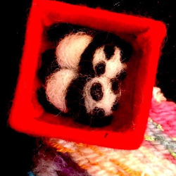 ダブルパンダのお重箱  白黒/ブルー 3枚目の画像