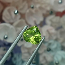 ペリベット様　ご予約分 0_08a1f9ef97c1263fb60fe70cfbd3