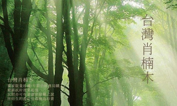 台灣肖楠純露噴霧 ( 40ml / 250ml )-天然防蟲.平衡油性膚質 第2張的照片
