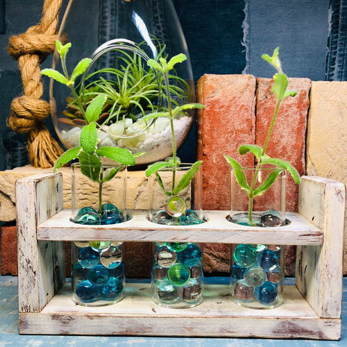 水注 手取花瓶 壱対 恒次作 木箱付(メ1268) 水注 手取花瓶 壱対 恒次作 木箱付(メ1268) 水注