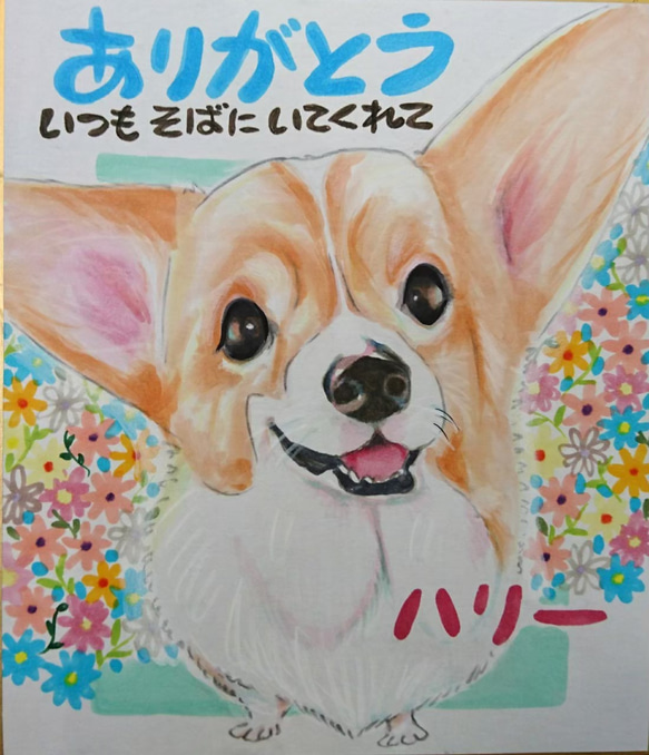 ペットちゃん似顔絵  下絵確認あり！納得のいく作品をお手元に！ペット似顔絵  犬の絵 猫の絵 犬 猫  イラスト 3枚目の画像