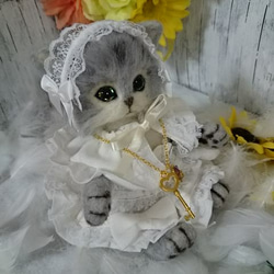 天使の姫猫ちゃん 2枚目の画像