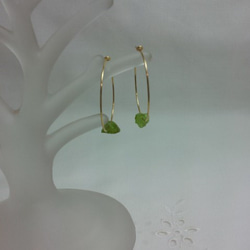 ペリドットのフープピアス　《pierced earrings》 4枚目の画像