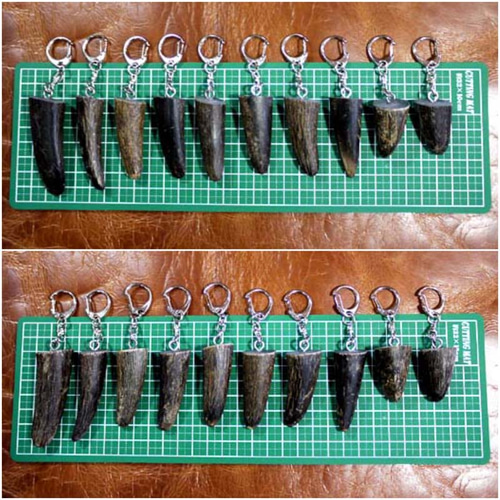 水牛の角キーホルダー （定形外郵便で発送します） その他アクセサリー