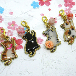 タケコブター様 レジンヘアゴム 茶トラ猫ちゃん 椿とエンジェルNo.1429 再販☆】背伸びのネコ 茶トラ・サバトラ・ミケ・黒猫 レジンの