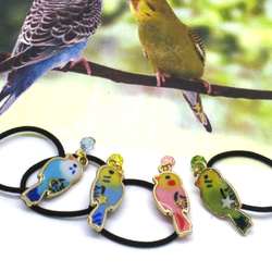 コガネメキシコ　レジンヘアゴム　カラーのみ コガネメキシコインコ レジンヘアゴム カラーのみ