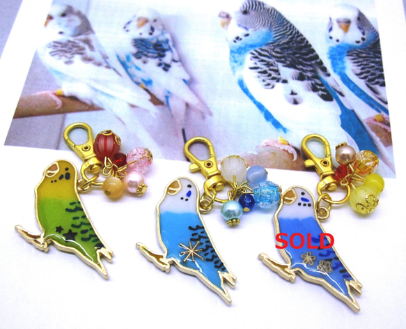 アキクサインコ　レジンヘアゴム　カラーのみ アキクサインコ レジンヘアゴム カラーのみ アキクサインコ レジン