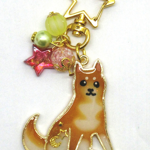 大きめ柴犬のチャーム レジンキーホルダー 2点セット☆ 赤柴