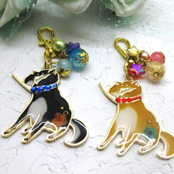 アキクサインコ　レジンヘアゴム　カラーのみ アキクサインコ レジンヘアゴム カラーのみ