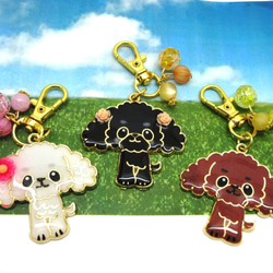 カラフルインコさんのヘアゴムセット（4本組）セキセイインコの