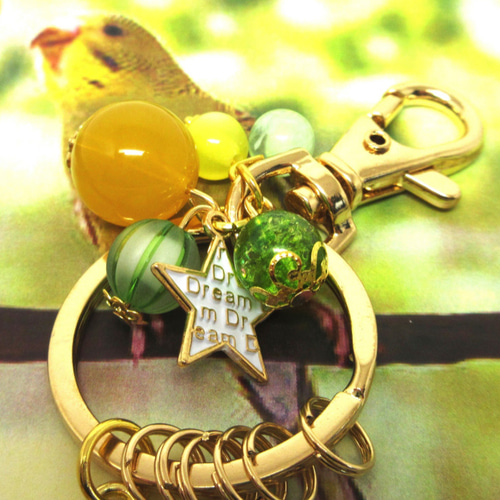 セキセイインコ（黄色×黄緑 ノーマル） 赤いお花と一緒に レジン