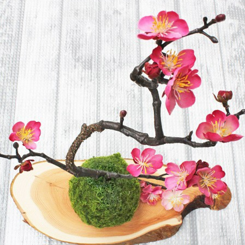 老梅 苔枝 古木 正月飾り 生け花 華道 用 素晴らしい梅（苔付）が入荷