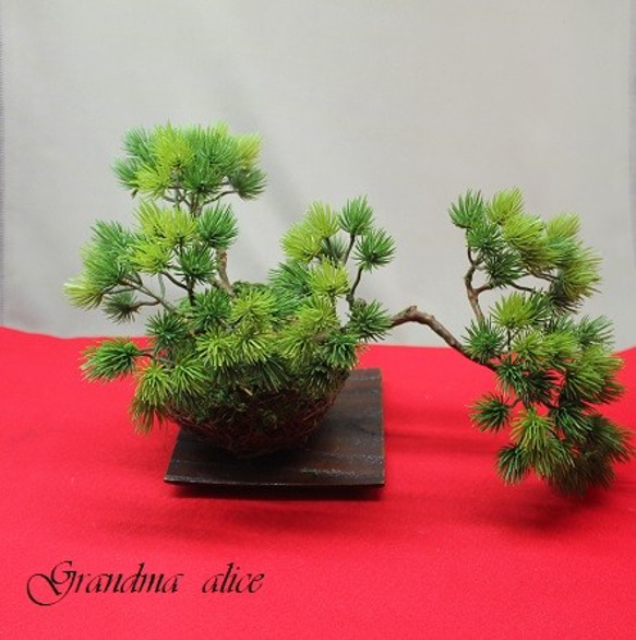 creema限定：再販：盆栽風万葉松の苔玉篭飾りⅡ＊ 盆栽 Grandma Alice 