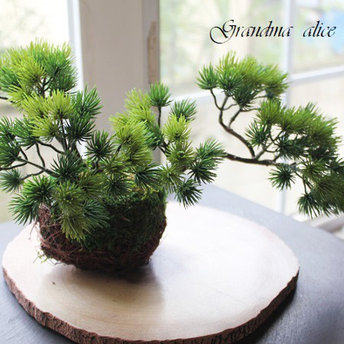 creema限定：再販：盆栽風万葉松の苔玉篭飾りⅡ＊ 盆栽 Grandma Alice 