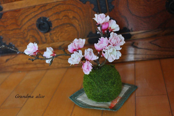 *＊再販 八重桜の苔玉Ⅱ＊* 3枚目の画像