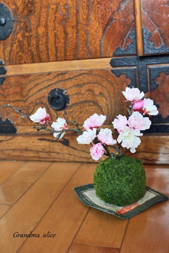 *＊再販 八重桜の苔玉Ⅱ＊* 6枚目の画像