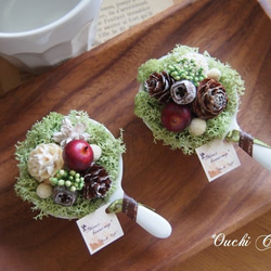 木の実のデザートいかがですか？～ミニアレンジセット～ ドライ