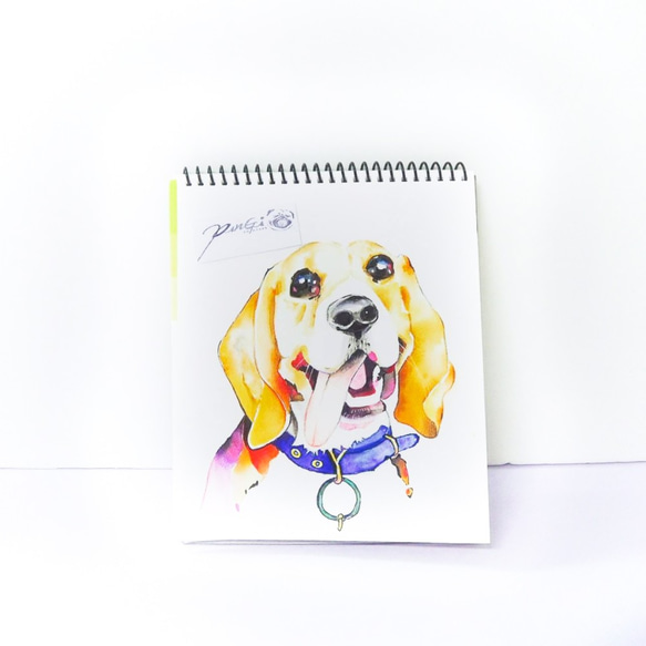 手繪水彩-客製寵物肖像畫 -似顏繪-狗狗畫像【不含框】黃金獵犬 第1張的照片