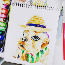 手繪水彩-客製寵物肖像畫 -似顏繪-狗狗畫像【不含框】法鬥bulldog 第2張的照片