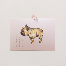 手繪明信片法鬥French Bulldogブルドック/postcard/ 第1張的照片