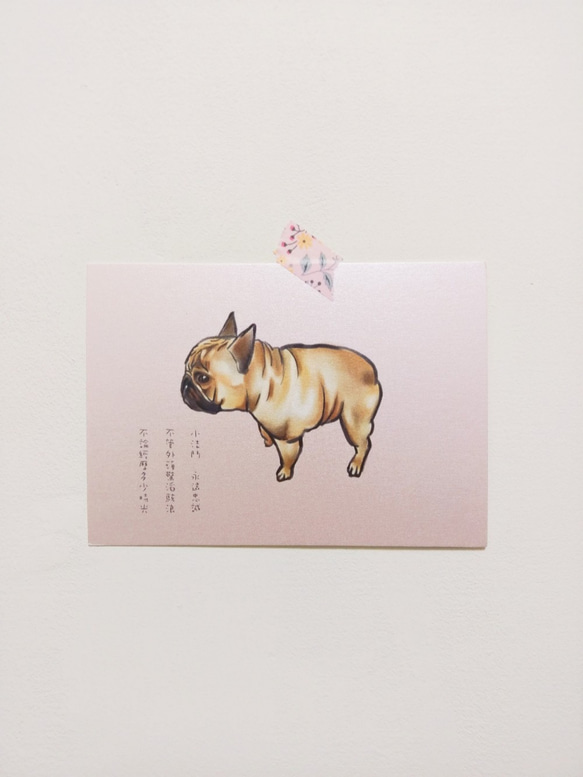 手繪明信片法鬥French Bulldogブルドック/postcard/ 第1張的照片