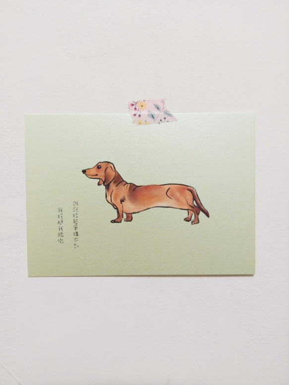 手繪明信片臘腸狗dachshundチワワ/postcard/ 第1張的照片