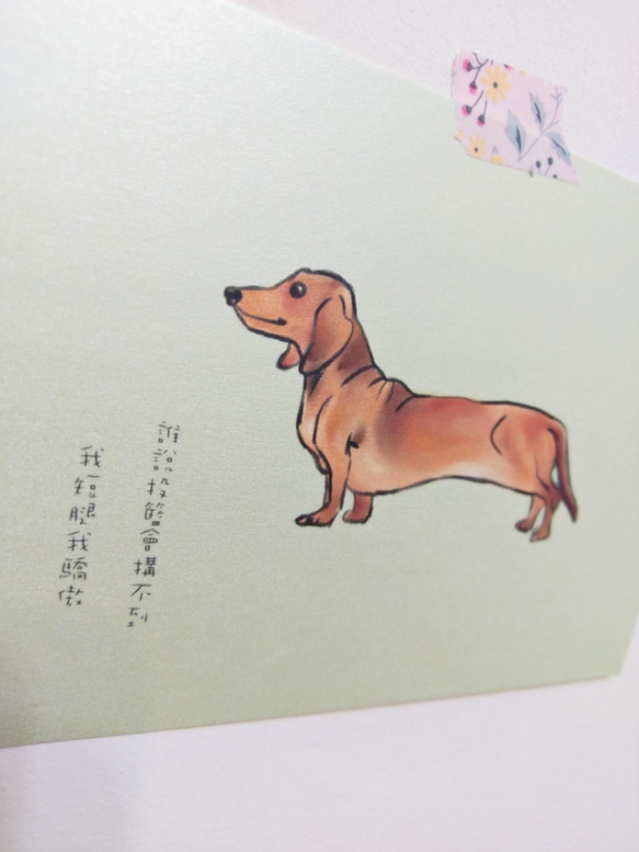 手繪明信片臘腸狗dachshundチワワ/postcard/ 第2張的照片