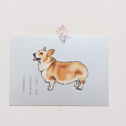 手繪明信片科基Corgiケジ/postcard/ 第2張的照片