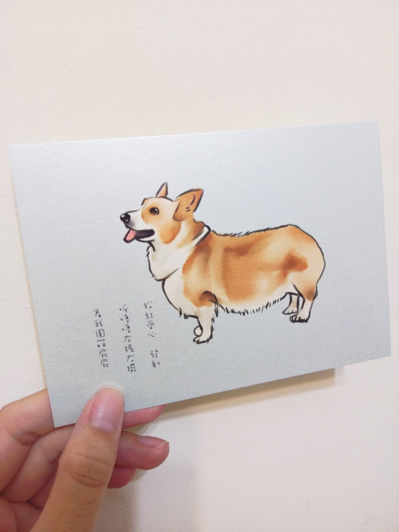 手繪明信片科基Corgiケジ/postcard/ 第3張的照片