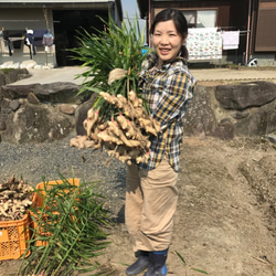 送料込み　新生姜シロップ　1ℓお得パック 3枚目の画像