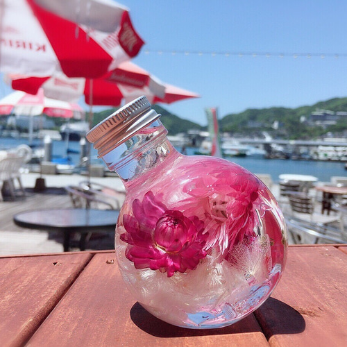 ハーバリウム♡ピンク系 ハーバリウム・植物標本 naru822 通販 5611993