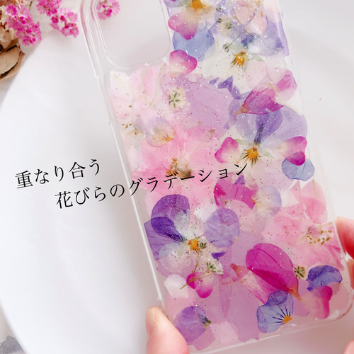 全機種対応.｡.:*:.｡.✽.｡.:.パープルとピンクの花びら舞 