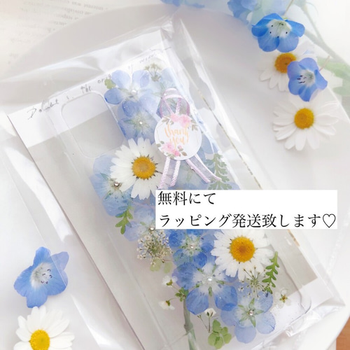 全機種対応.｡.:*:.｡.✽.｡.:.パープルとピンクの花びら舞 